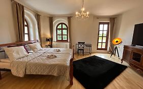 Dogs Resort And Spa